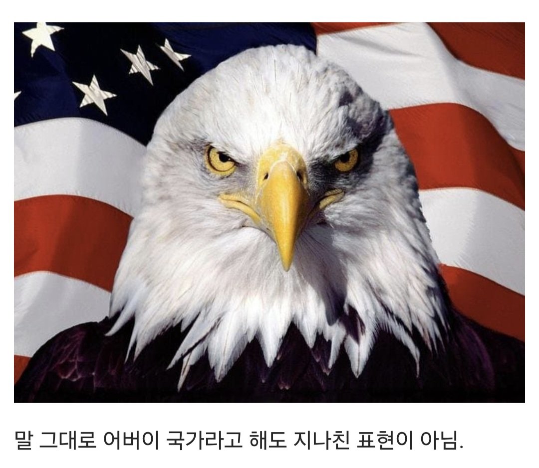 한국전쟁과 미국에 대해서 이상한 주장을 하는 사람들