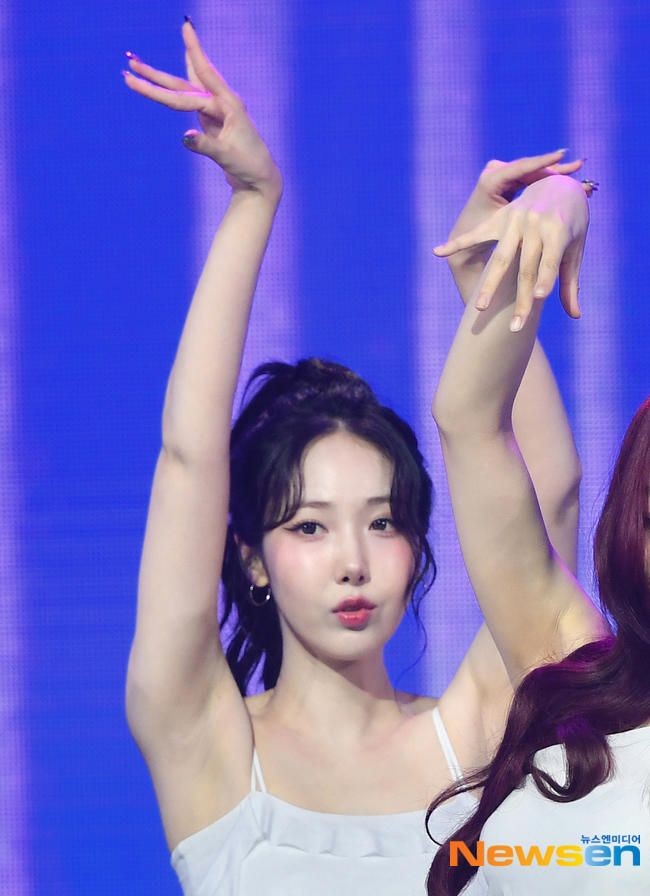 비비지 신비 시원시원
