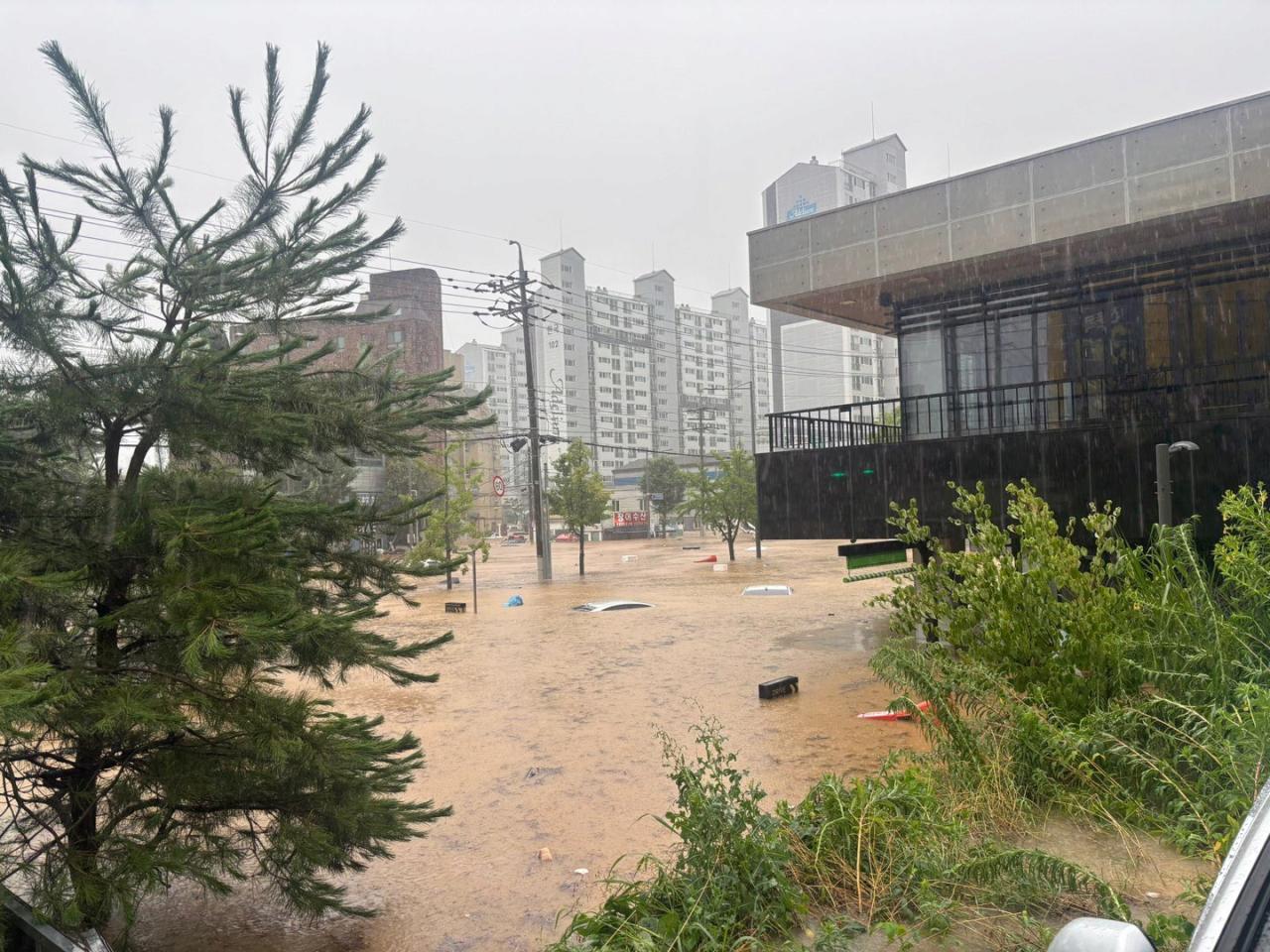 폭우에 잠겨버린 광주 신안동 스벅 ㄷㄷㄷㄷ