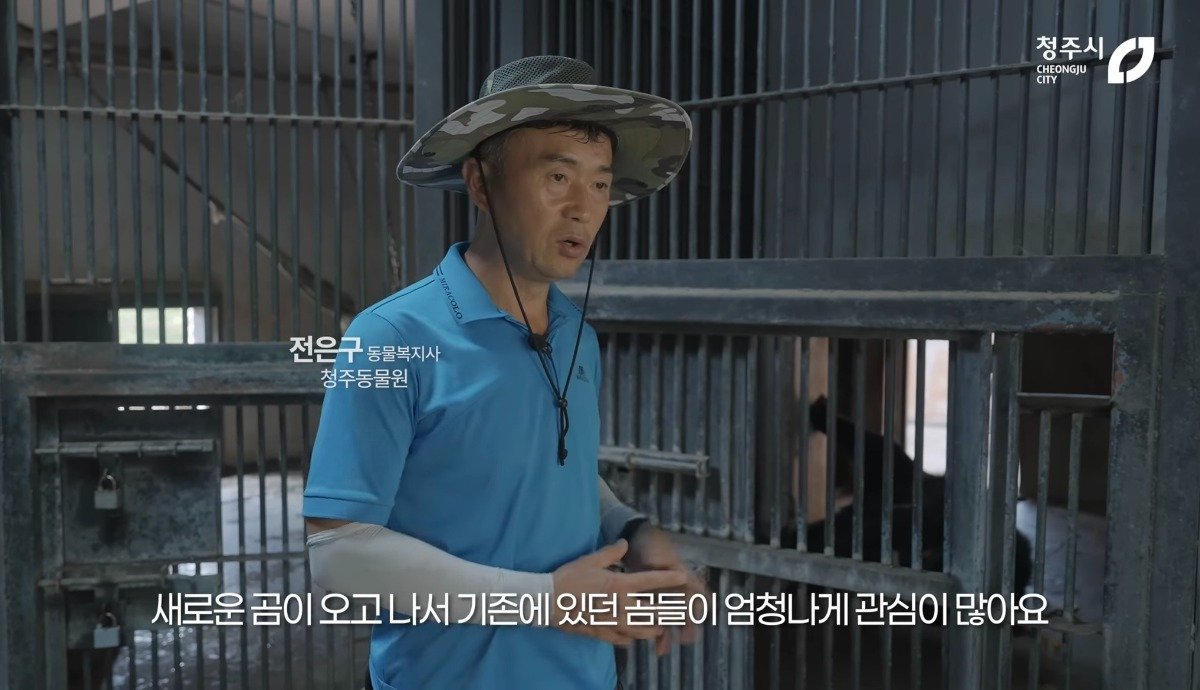 ㅅㅂ 청주동물원 유튜브보는데 뭔 시트콤인줄