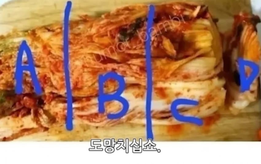 어느 유튜버의 논란 대처법