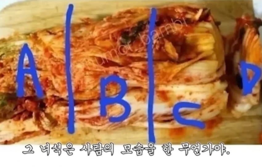 어느 유튜버의 논란 대처법