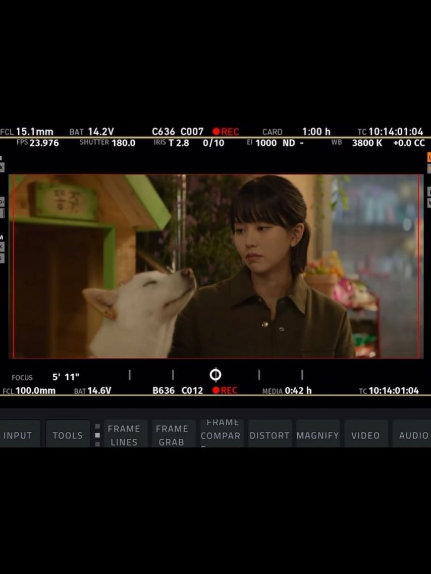 김소현
