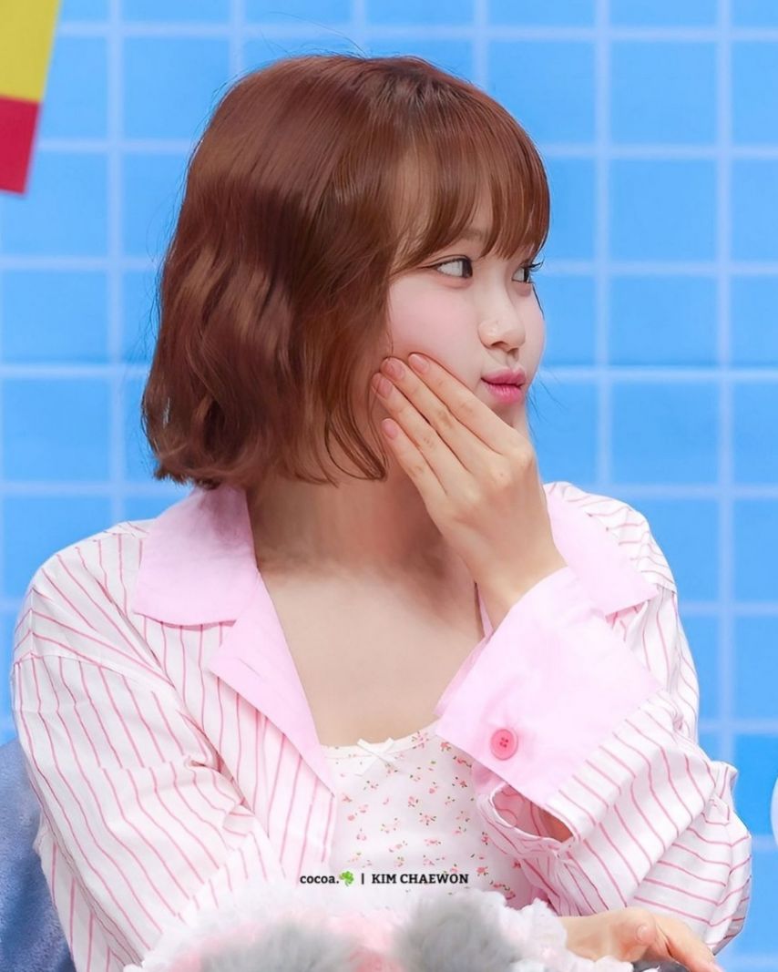 르세라핌 김채원