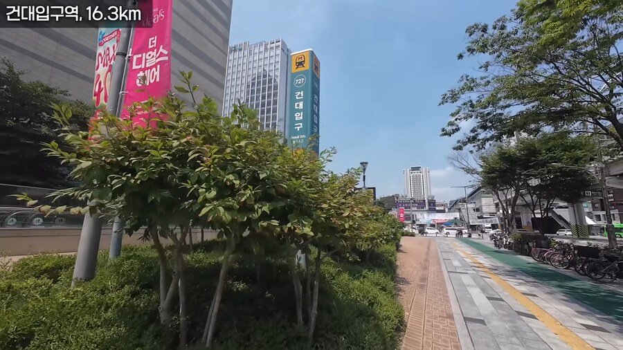 한여름 땡볕에 걸어서 2호선 완주한 유튜버