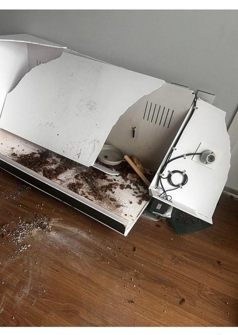 책임비 5만원 받고 동물나눔 하려는 중학생