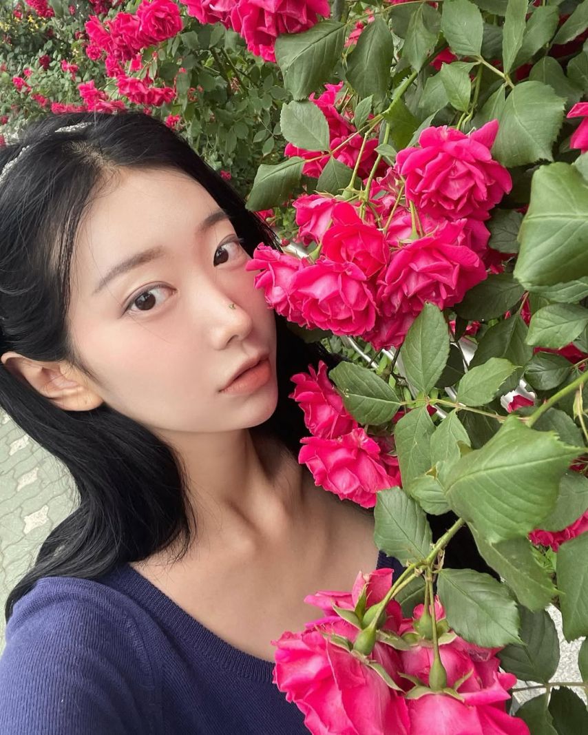 하니니