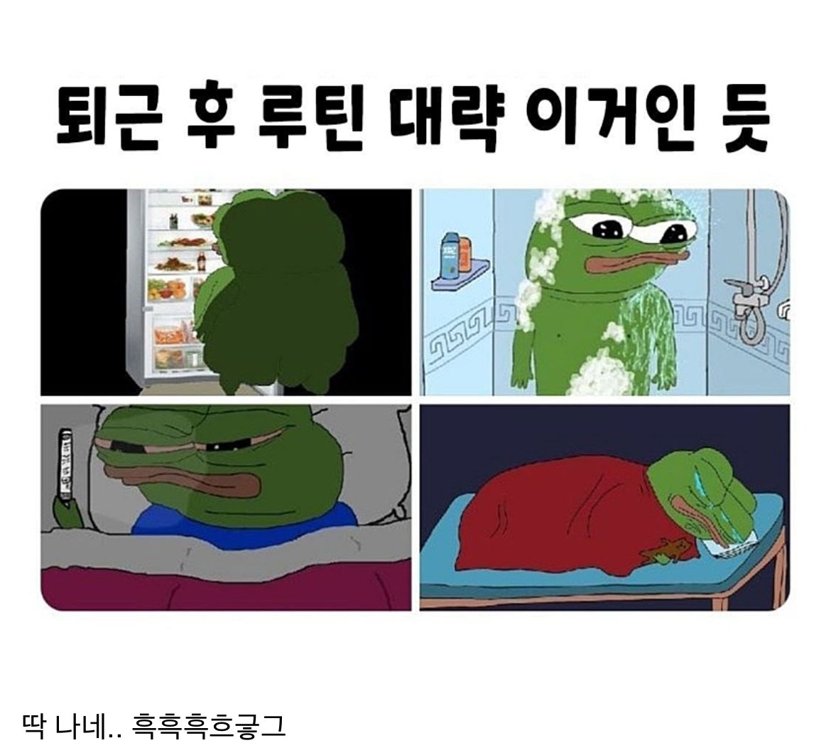 직장인들 퇴근 후 국룰