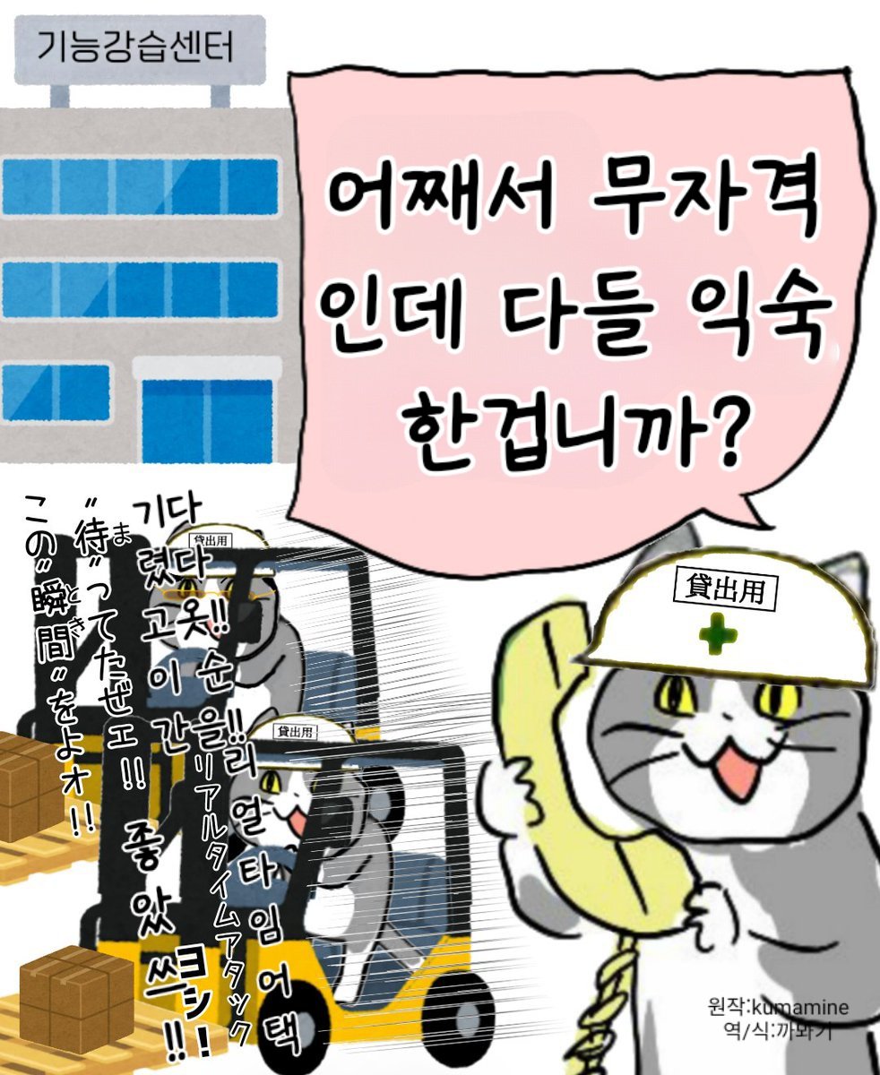 좋소기업의 면허 특징