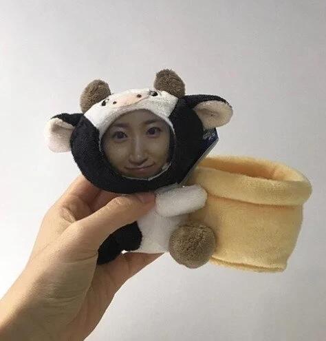 자동차 인증 대참사