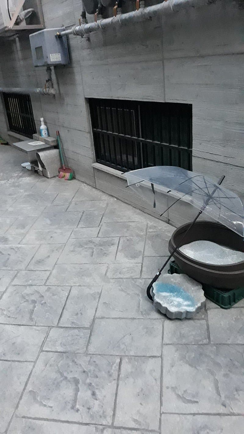 사람사는 반지하 집에 고양이 화장실 설치한 캣맘