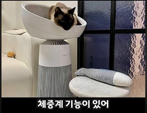 고양이 집사 타겟으로 만든 LG 공기청정기 + 켓돔
