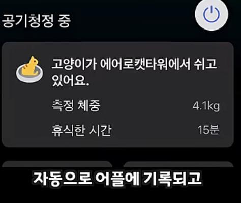 고양이 집사 타겟으로 만든 LG 공기청정기 + 켓돔