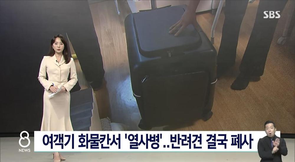 항공기 화물칸 반려동물 폐사