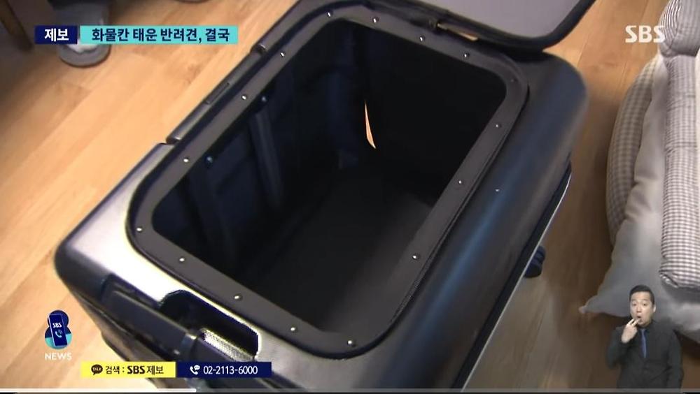 항공기 화물칸 반려동물 폐사