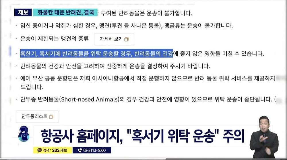 항공기 화물칸 반려동물 폐사