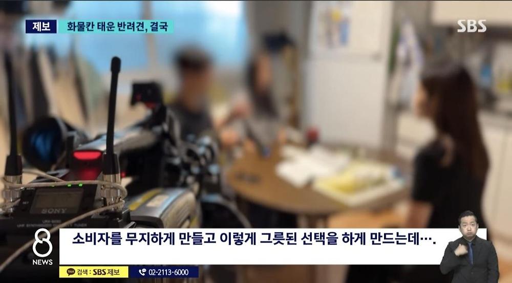 항공기 화물칸 반려동물 폐사