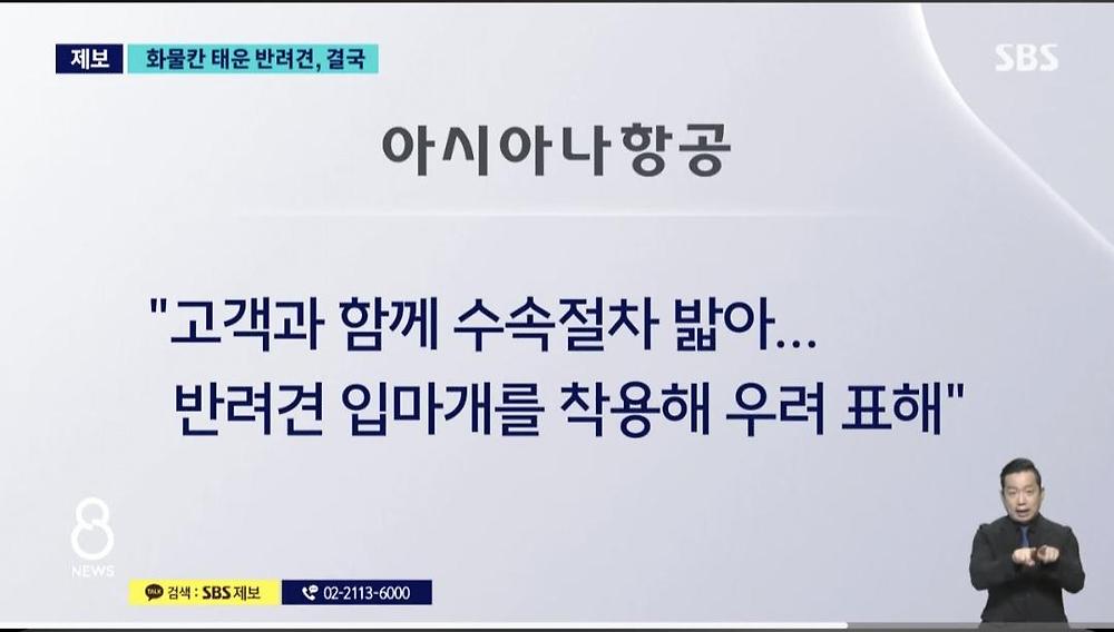 항공기 화물칸 반려동물 폐사