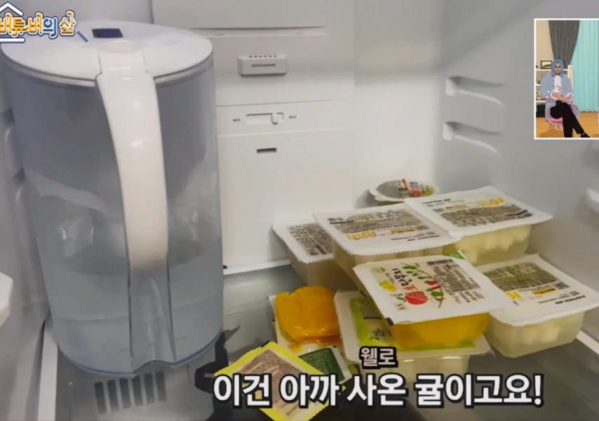 남는 치킨무로 깍두기 담가 먹는다는 버튜버 김웰로