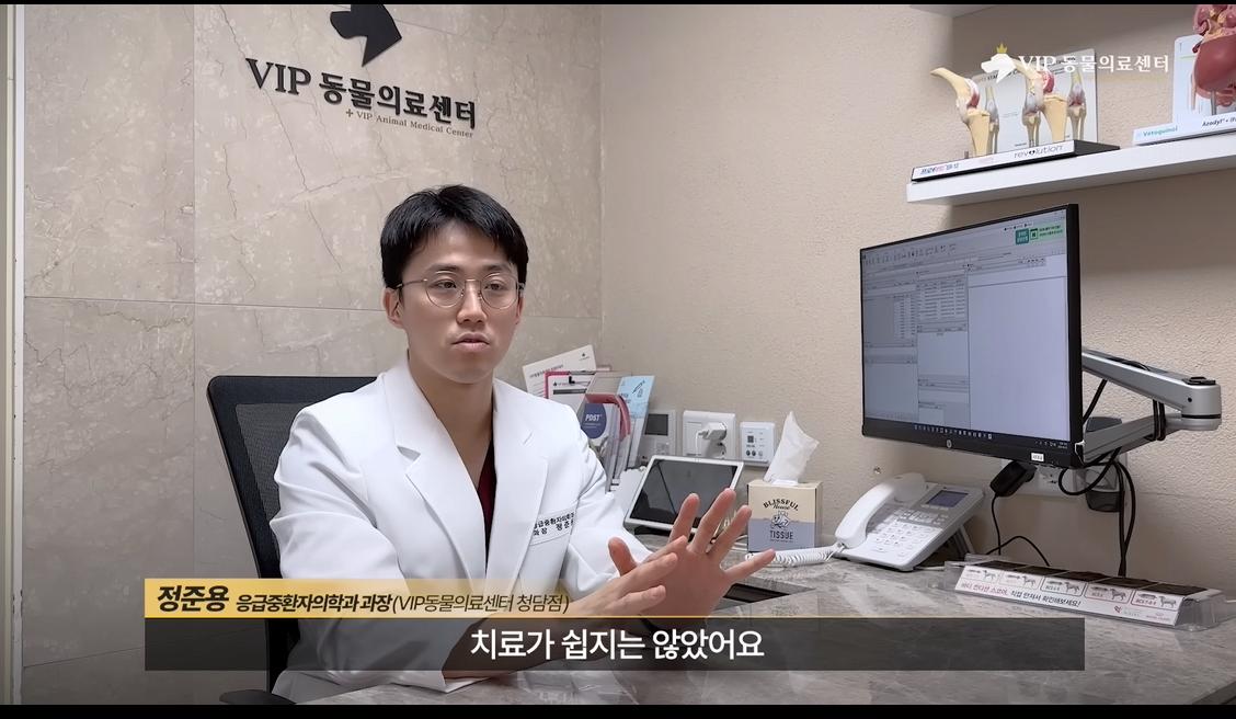 약혐) 최초 물고기 피부 이식술로 구사일생한 경북 괴물 산불 피해 강아지