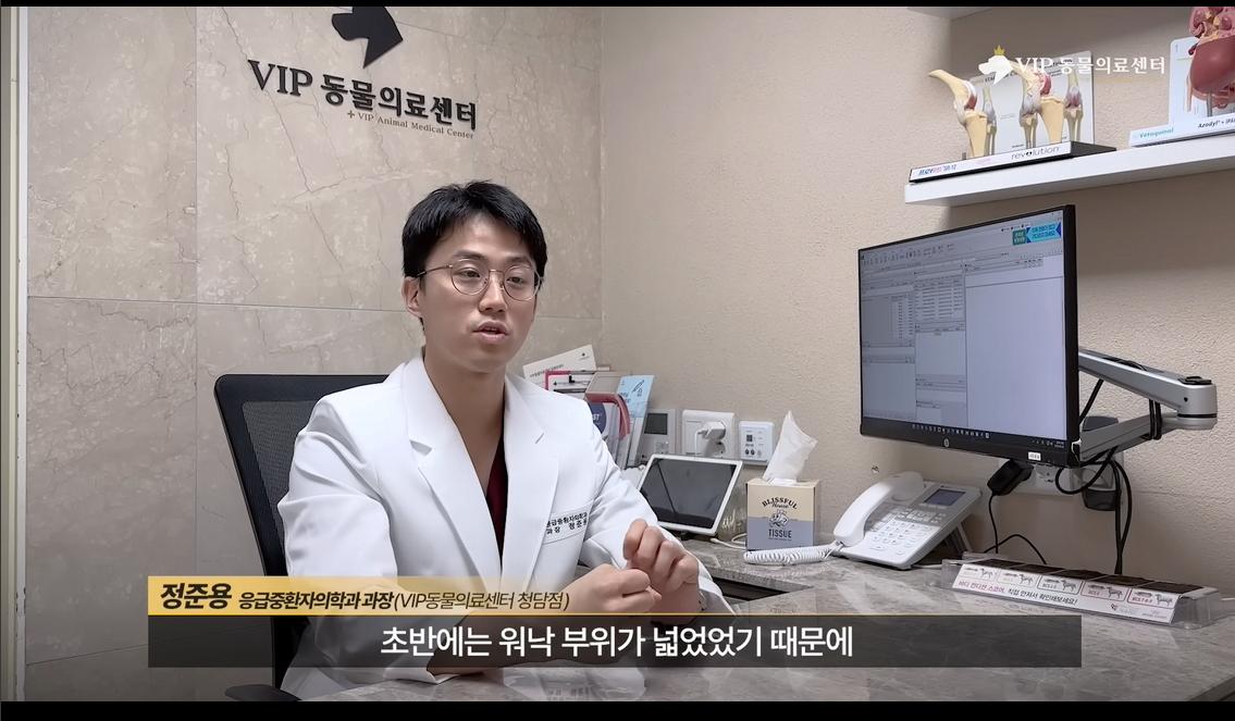 약혐) 최초 물고기 피부 이식술로 구사일생한 경북 괴물 산불 피해 강아지
