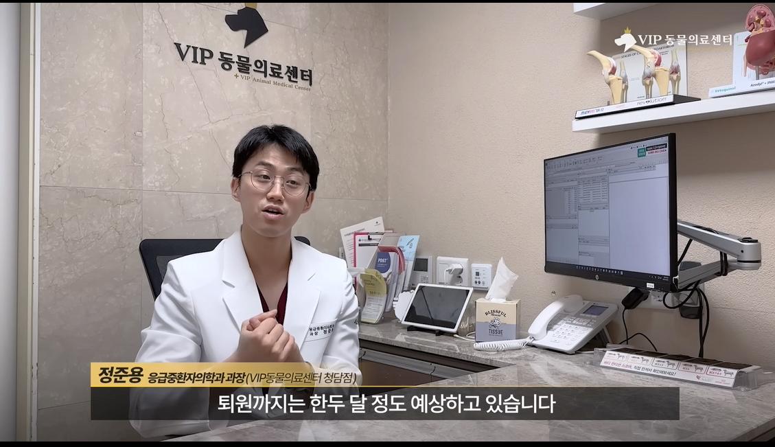 약혐) 최초 물고기 피부 이식술로 구사일생한 경북 괴물 산불 피해 강아지