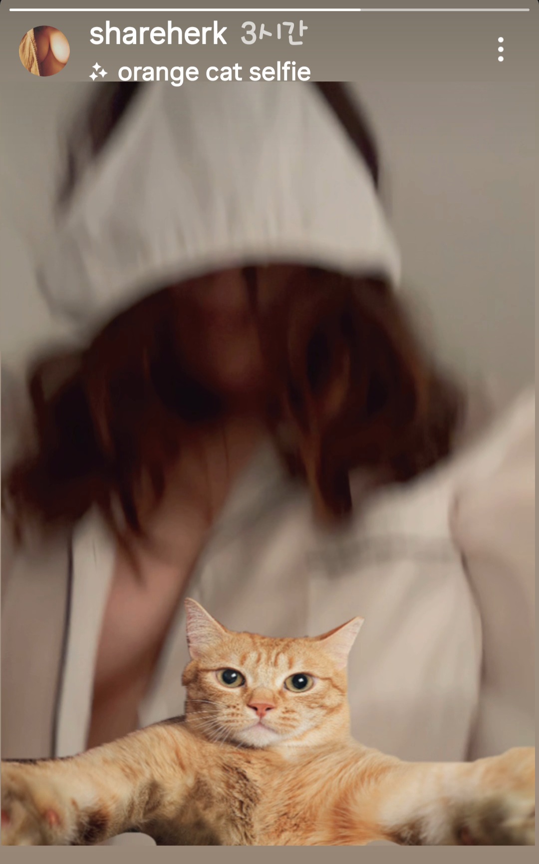 @shareherk
