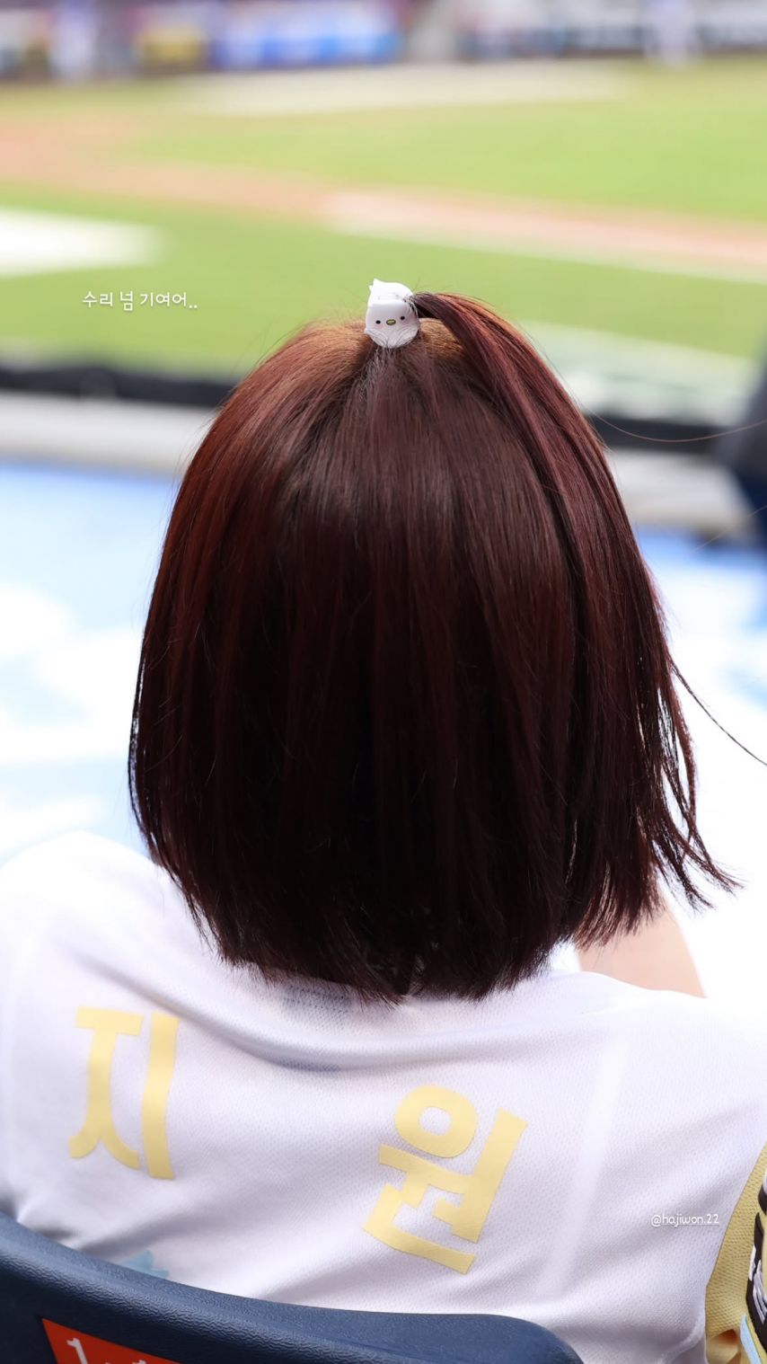 하지원