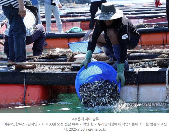 최근 심각하다는 국내 가두리 양식장들