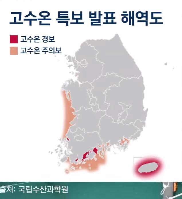 최근 심각하다는 국내 가두리 양식장들