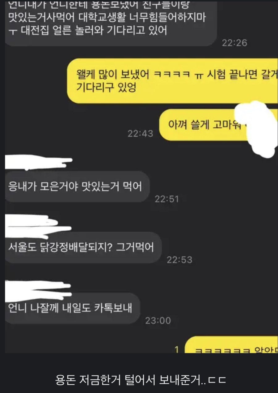 대학생 언니가 걱정되서 용돈 보내준 초등학생 여동생
