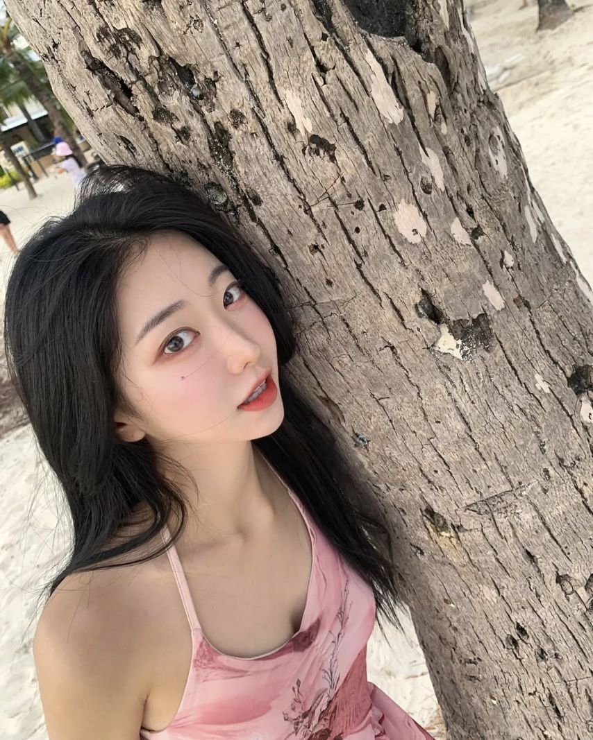하니니