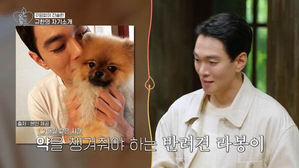 반려동물 키우기 시작해서 인간 관계가 망했다는 배우