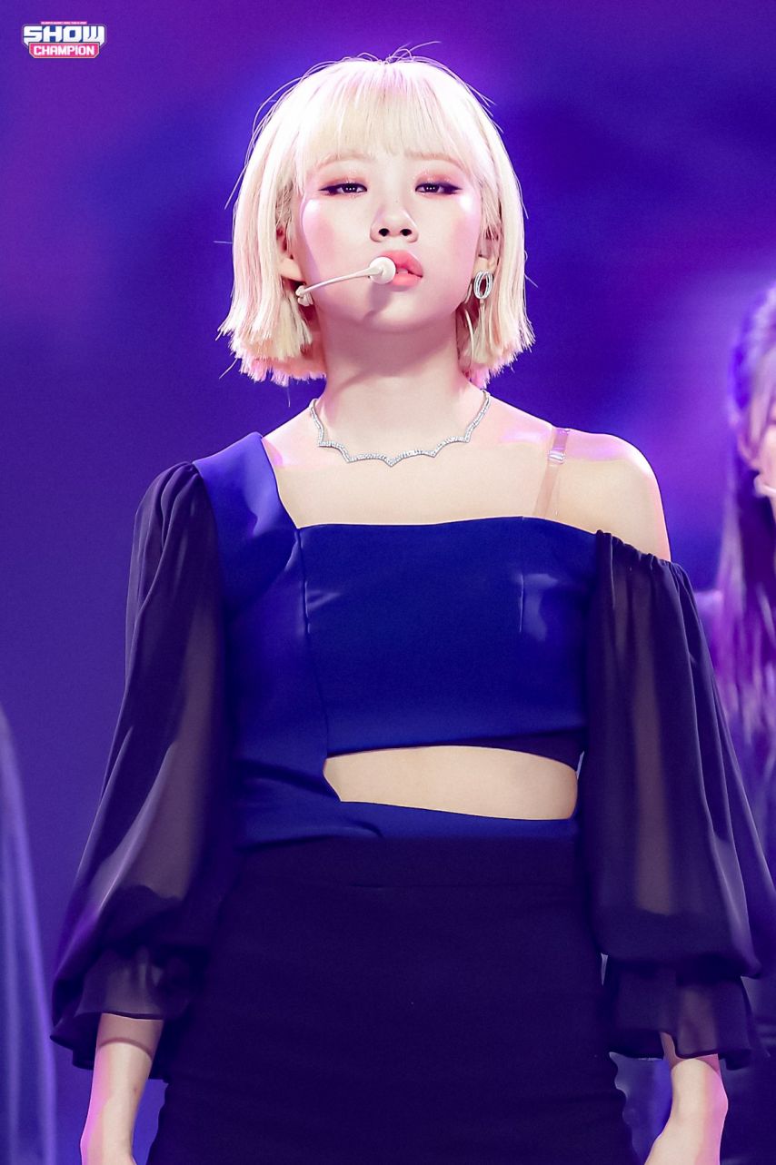 퍼플키스 도시