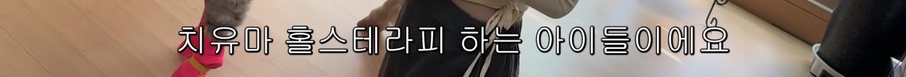국내엔 단 한마리밖에 없는 세계에서 가장 작은 말을 키우는 모델