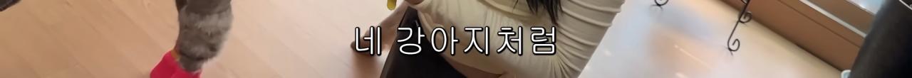 국내엔 단 한마리밖에 없는 세계에서 가장 작은 말을 키우는 모델