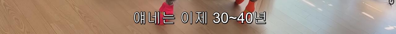 국내엔 단 한마리밖에 없는 세계에서 가장 작은 말을 키우는 모델