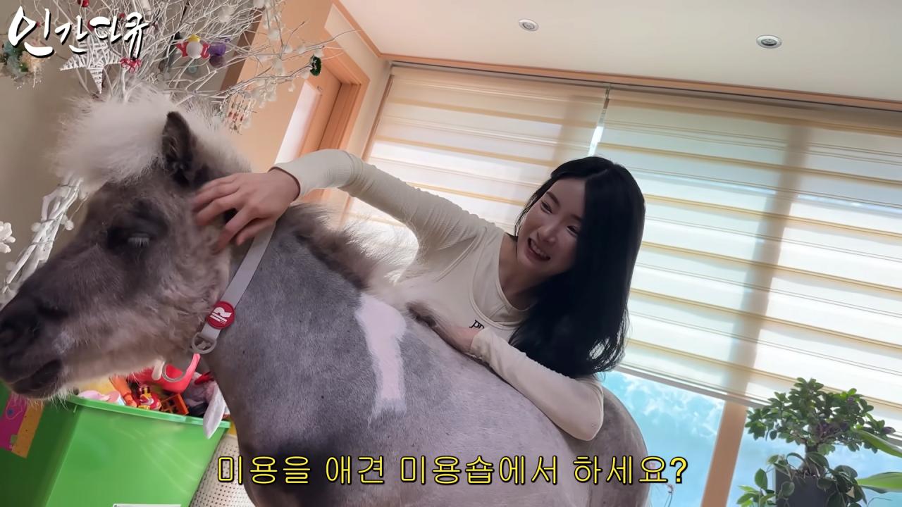 국내엔 단 한마리밖에 없는 세계에서 가장 작은 말을 키우는 모델