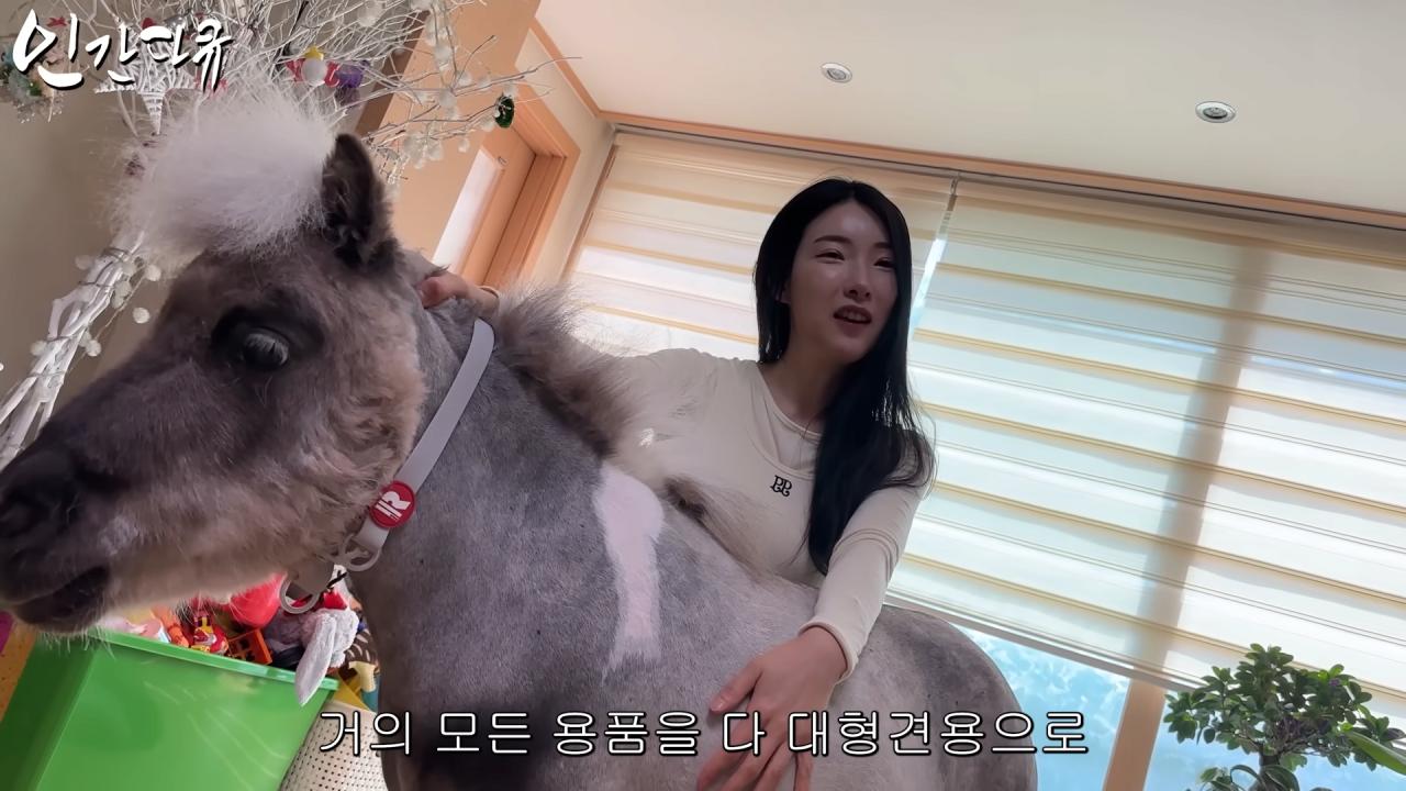 국내엔 단 한마리밖에 없는 세계에서 가장 작은 말을 키우는 모델