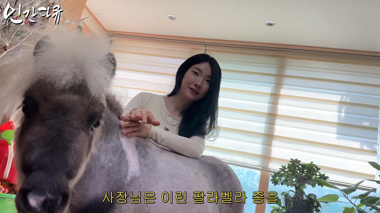 국내엔 단 한마리밖에 없는 세계에서 가장 작은 말을 키우는 모델