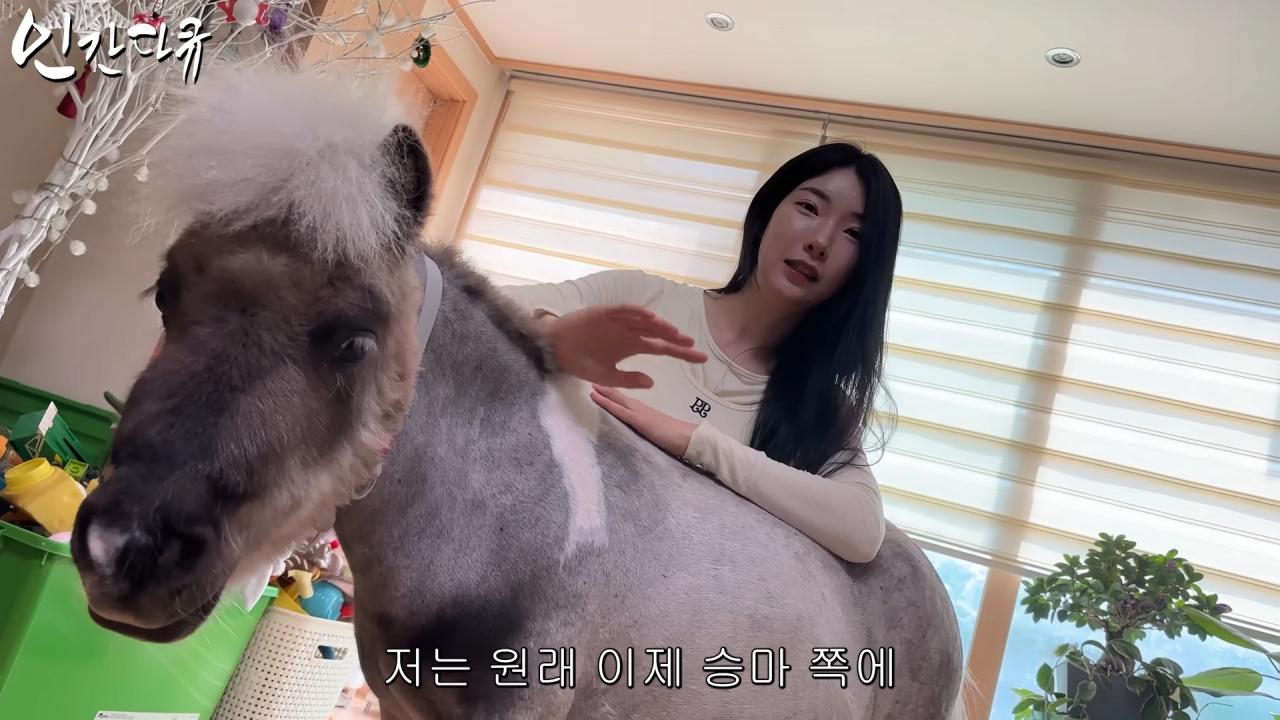 국내엔 단 한마리밖에 없는 세계에서 가장 작은 말을 키우는 모델