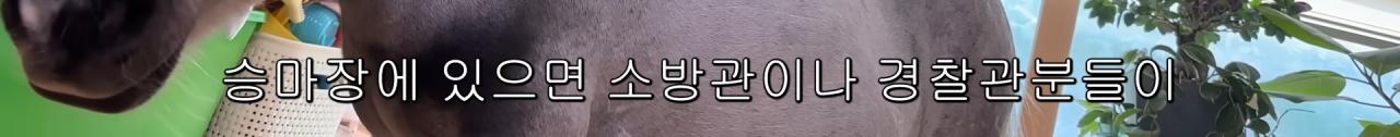 국내엔 단 한마리밖에 없는 세계에서 가장 작은 말을 키우는 모델