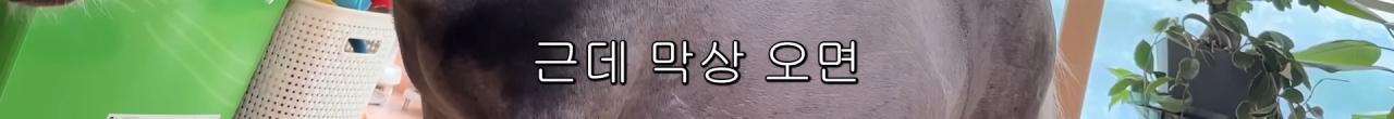 국내엔 단 한마리밖에 없는 세계에서 가장 작은 말을 키우는 모델