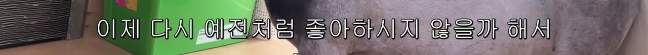 국내엔 단 한마리밖에 없는 세계에서 가장 작은 말을 키우는 모델