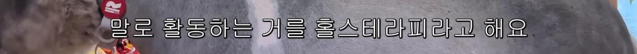 국내엔 단 한마리밖에 없는 세계에서 가장 작은 말을 키우는 모델