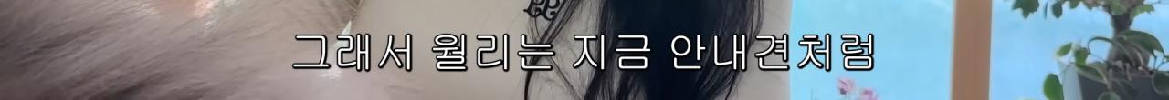 국내엔 단 한마리밖에 없는 세계에서 가장 작은 말을 키우는 모델