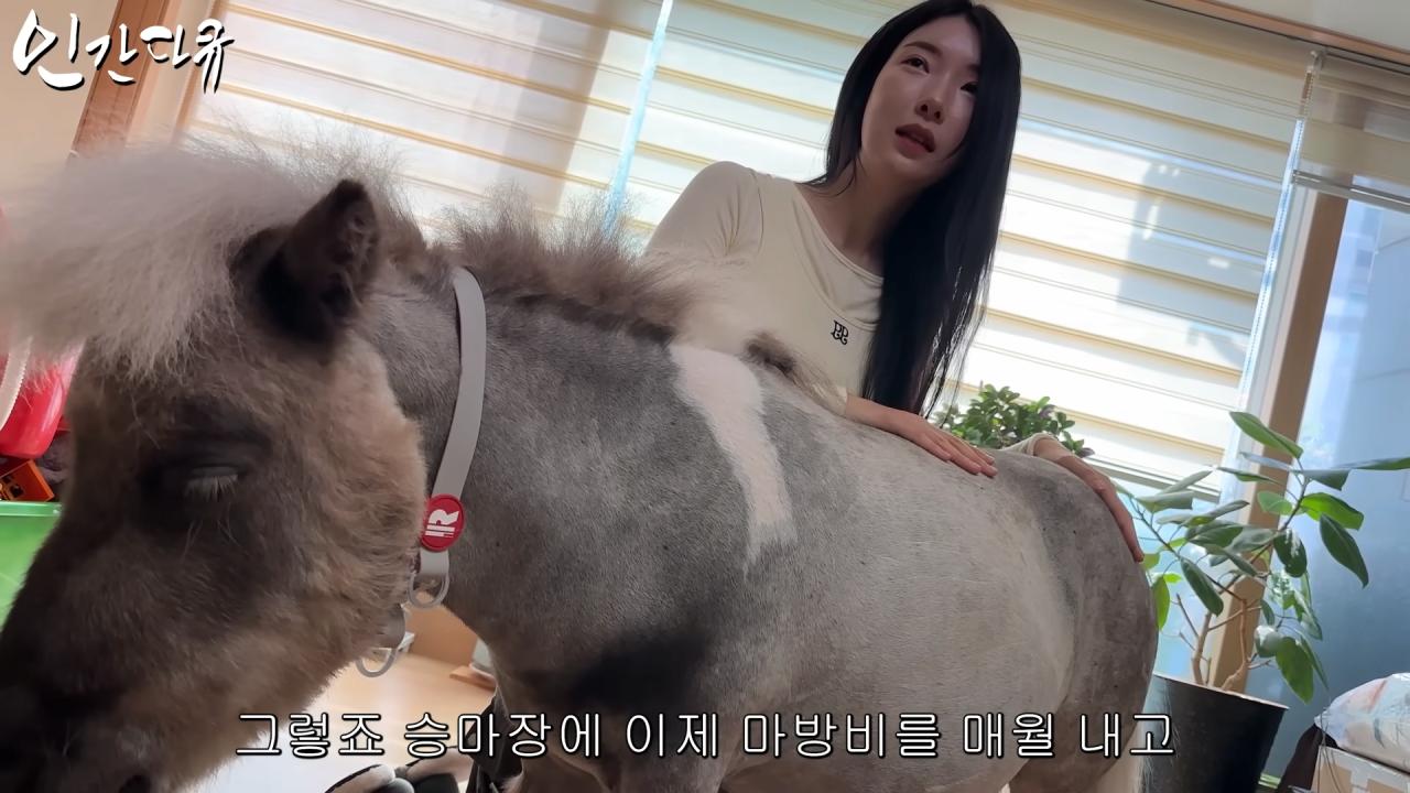 국내엔 단 한마리밖에 없는 세계에서 가장 작은 말을 키우는 모델