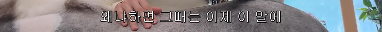 국내엔 단 한마리밖에 없는 세계에서 가장 작은 말을 키우는 모델