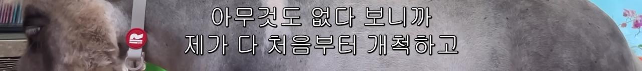 국내엔 단 한마리밖에 없는 세계에서 가장 작은 말을 키우는 모델