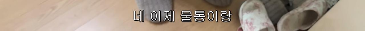 국내엔 단 한마리밖에 없는 세계에서 가장 작은 말을 키우는 모델